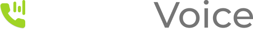 Wixzel Voice
